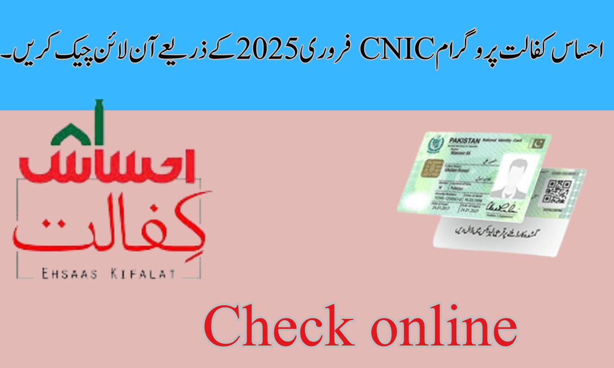 احساس کفالت پروگرام CNIC فروری 2025 کے ذریعے آن لائن چیک کریں۔