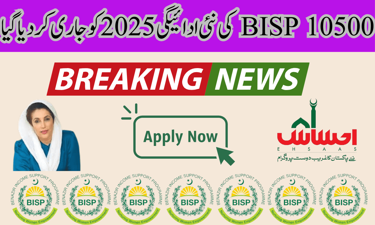 حکومت پاکستان نے 2019 میں معاشرے کے پسماندہ اور کمزور طبقوں کو مالی مدد فراہم کرنے کے لیے آن لائن رجسٹریشن کا آغاز کیا تھا۔ یہ پہلا سماجی بہبود کا پروگرام تھا جس میں غریب اور نادار خاندانوں کو فراہم کیا گیا۔
