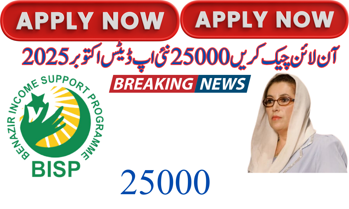 8171 آن لائن چیک کریں 25000 نئی اپ ڈیٹس اکتوبر 2025