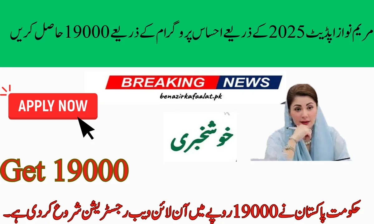 حکومت پاکستان نے 19000 روپے میں آن لائن ویب رجسٹریشن شروع کر دی ہے۔