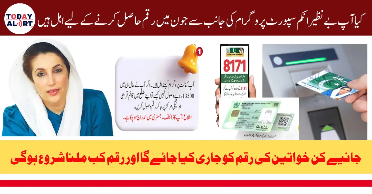 BISP Eligibility Check June 2025 via 8171 Portal