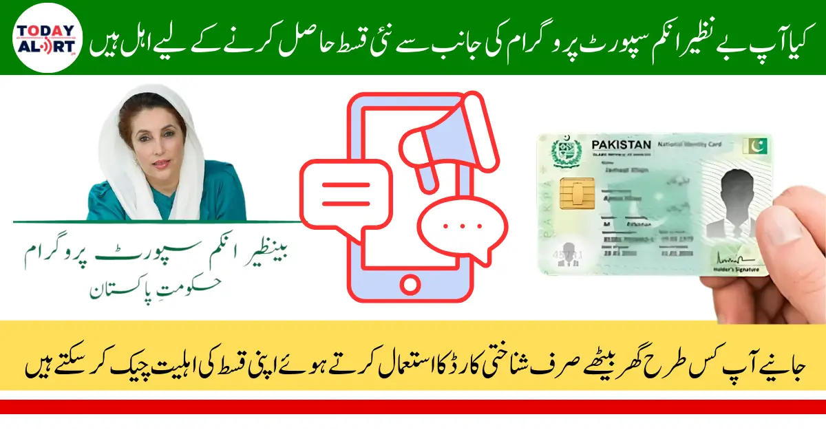 How to Check BISP 8171 May 2025 Payment Status by CNIC