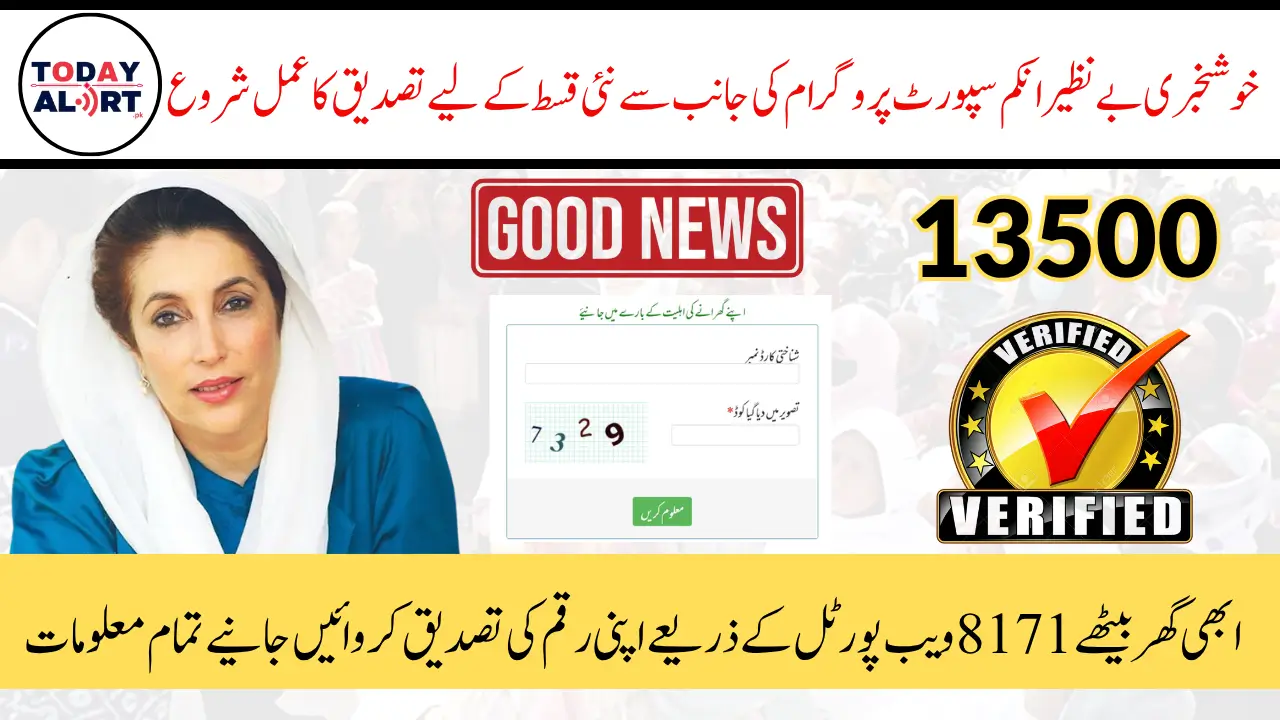 BISP Payment Verification Via 8171 Web Portal Latest Method