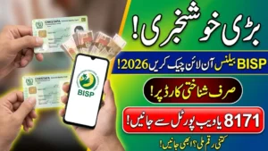 BISP Check Balance Online By CNIC Update 2026