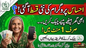 Ehsaas Program New Payment Check Through Track 8171