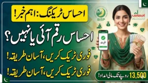 Ehsaas Tracking 8171 Pass Gov Pk Check Web-Portal 2026